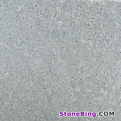 Whtie Galaxy Granite Tile