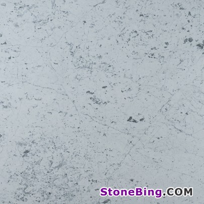 Blanco Gioia Marble Tile