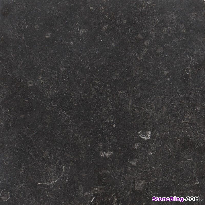 Atlantic Black Tile