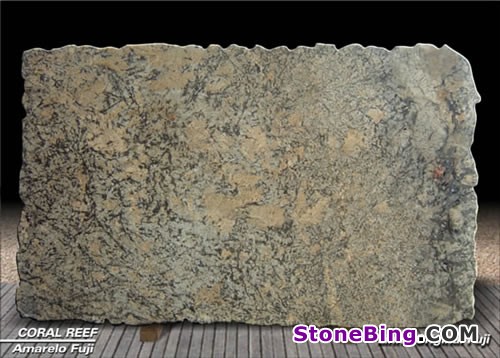 Coral Reef Granite Slab