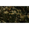 Black Fusion Granite Slab