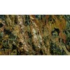 Sedna Granite Slab