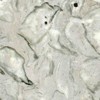 Jingian Flower Marble Tile