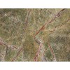 Rainforest Green Marble Tile