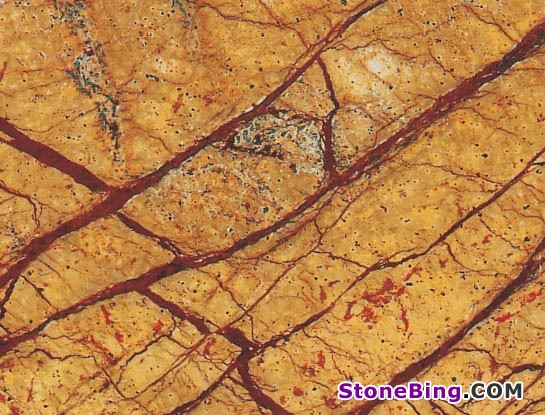 Rainforest Gold Marble Tile
