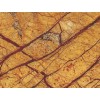 Rainforest Gold Marble Tile