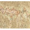 Indian Pirana Granite Tile
