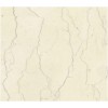 Perlino Bianco Marble Tile