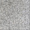 Solar White Granite Tile