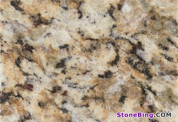 Giallo Napoleone Granite Slab