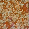 Rosso Verona Marble Tile