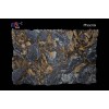 Phoenix Granite Slab