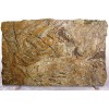 Golden Ray Granite Slab