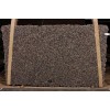 Amazon Flower Granite Slab