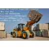 CE 25ton forklift loader