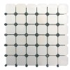 Dolomite Marble Mosaic