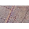 Rain Forest Brown Marble Tile