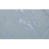 K Baige Marble Tile
