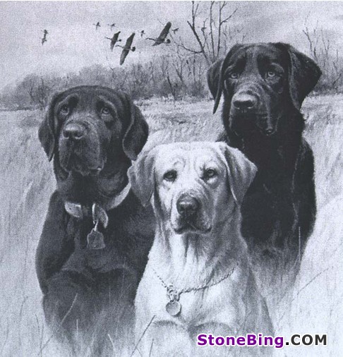 Dog Laser Etching