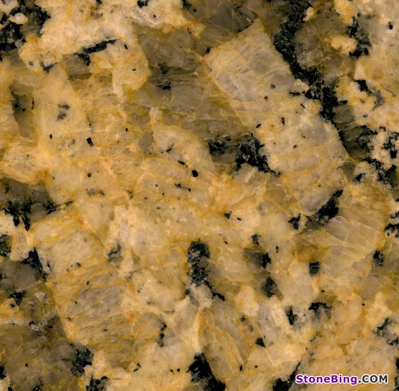 Yellow Butterfly Granite Tile