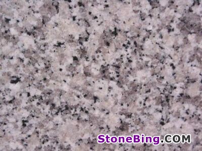 Bianco Sardo Granite Tile
