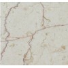 Shell Beige Marble Tile
