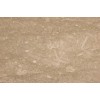 Fossil Limestone Tile