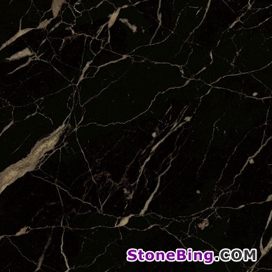 Noir Saint-Laurent Marble Tile