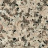 Crema Porrino Granite Tile