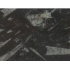 Fossil Black Marble Tile