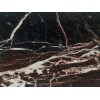 Rosso Levanto Marble Tile