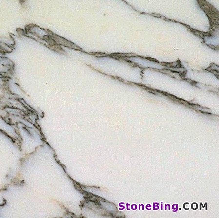 Arabescato Corchia Marble Tile