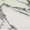 Arabescato Corchia Marble Tile