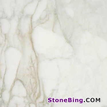 Calacatta Carrara Marble Tile