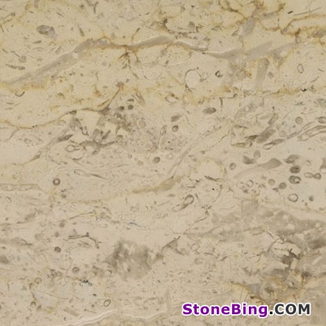 Filetto Hasana Marble Tile