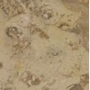 Brescia Marble Tile