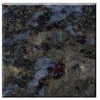 Butterfly Blue Granite Tile