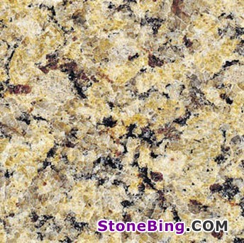 Autumn Gold Granite Tile