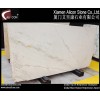 Bianco Picasso White Marble