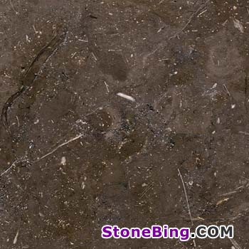 Meli Brown Marble Tile