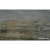 Amazonia Bamboo Granite Slab