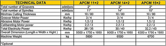 APCM Chamfering Machine