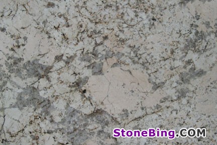 Bianco Persa Granite Tile