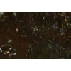 Brown Antique Granite Tile