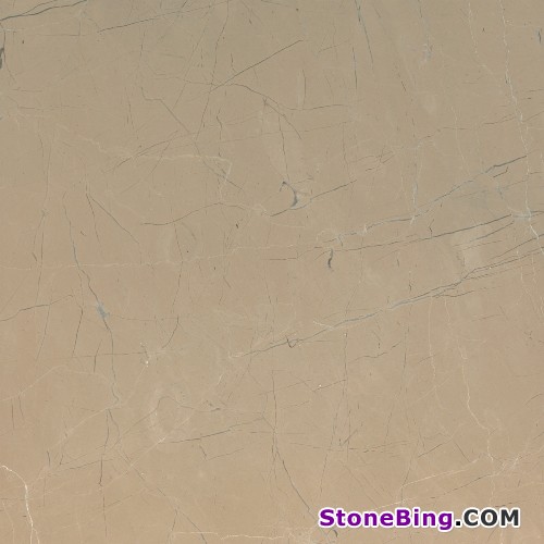 Dark Beige Marble Tile