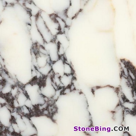Violet Marble Tile