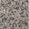 Crema Perla Granite Tile