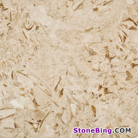 Shell Beige Marble Tile
