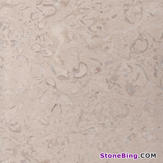 Limpet Beige Marble Tile
