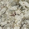 Galaxy White Granite Tile